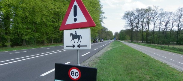 n35_foto.jpg