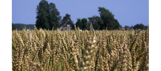 natuur-landbouw
