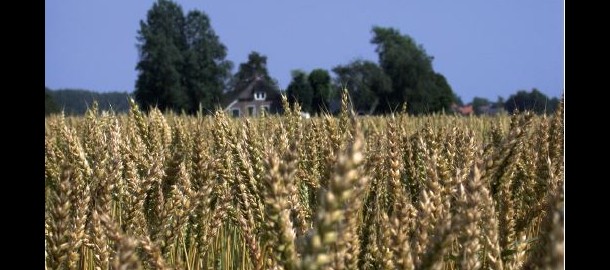 natuur-landbouw
