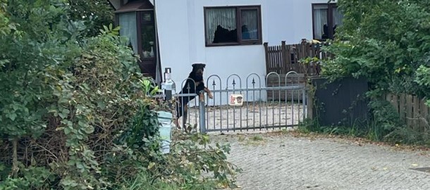 woonwagen den ham.jpg