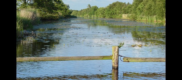 weerribben