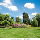 lente