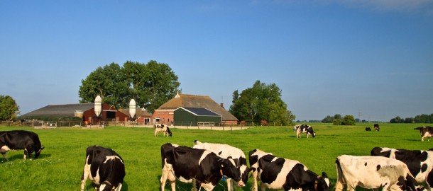 boerderij.jpg