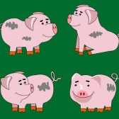 Varkens