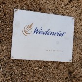 wiedenriet