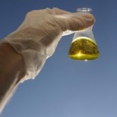 bio